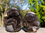 Polished Septerye Sauvage "Dragons Eggs" Geode x 3 From Mahajanga, Madagascar - Toprock Gemstones and Minerals 