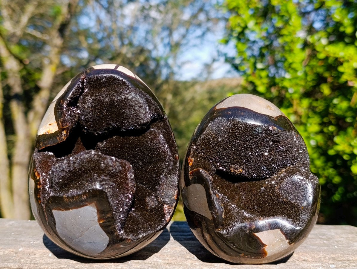 Polished Septerye Sauvage "Dragons Eggs" Geode x 3 From Mahajanga, Madagascar - Toprock Gemstones and Minerals 