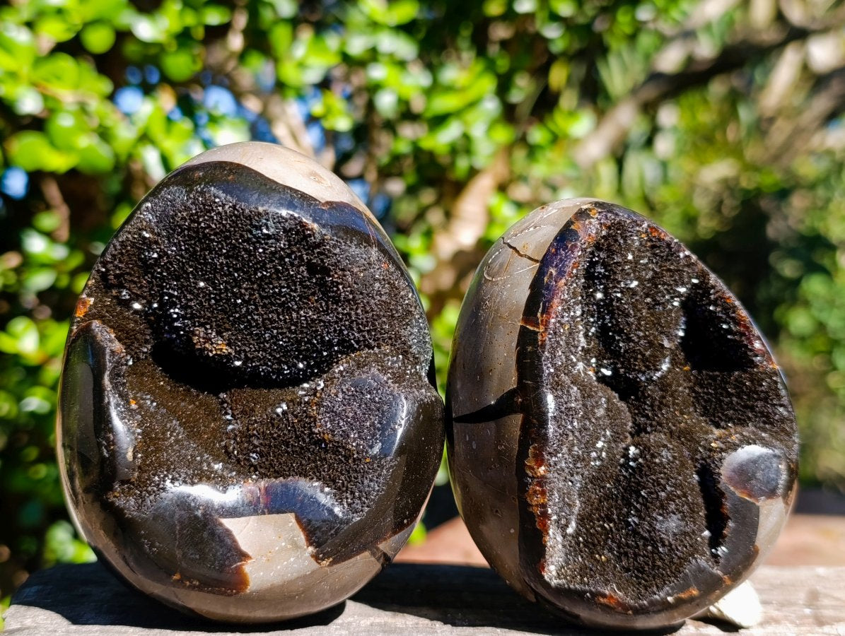 Polished Septerye Sauvage "Dragons Eggs" Geode x 3 From Mahajanga, Madagascar - Toprock Gemstones and Minerals 