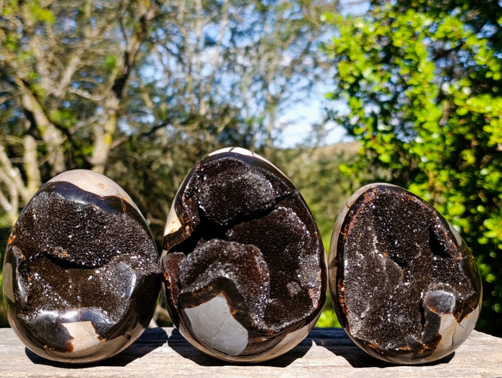 Polished Septerye Sauvage "Dragons Eggs" Geode x 3 From Mahajanga, Madagascar - Toprock Gemstones and Minerals 