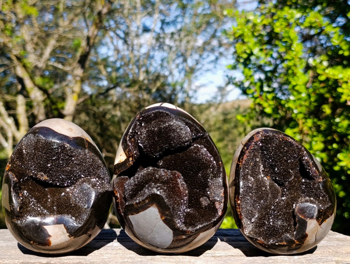 Polished Septerye Sauvage "Dragons Eggs" Geode x 3 From Mahajanga, Madagascar - Toprock Gemstones and Minerals 