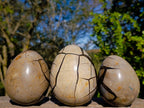 Polished Septerye Sauvage "Dragons Eggs" Geode x 3 From Mahajanga, Madagascar - Toprock Gemstones and Minerals 