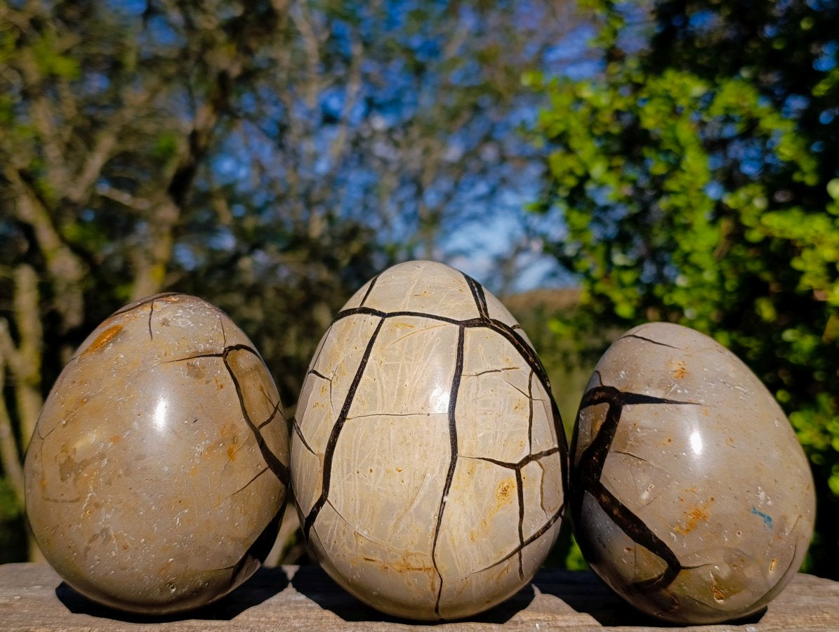 Polished Septerye Sauvage "Dragons Eggs" Geode x 3 From Mahajanga, Madagascar - Toprock Gemstones and Minerals 