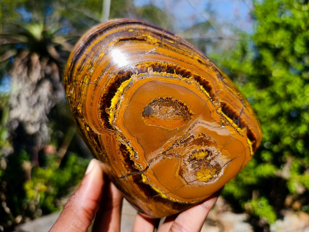 Polished Golden Tigers Eye Standing Display Pieces x 2 From Prieska, South Africa - Toprock Gemstones and Minerals 