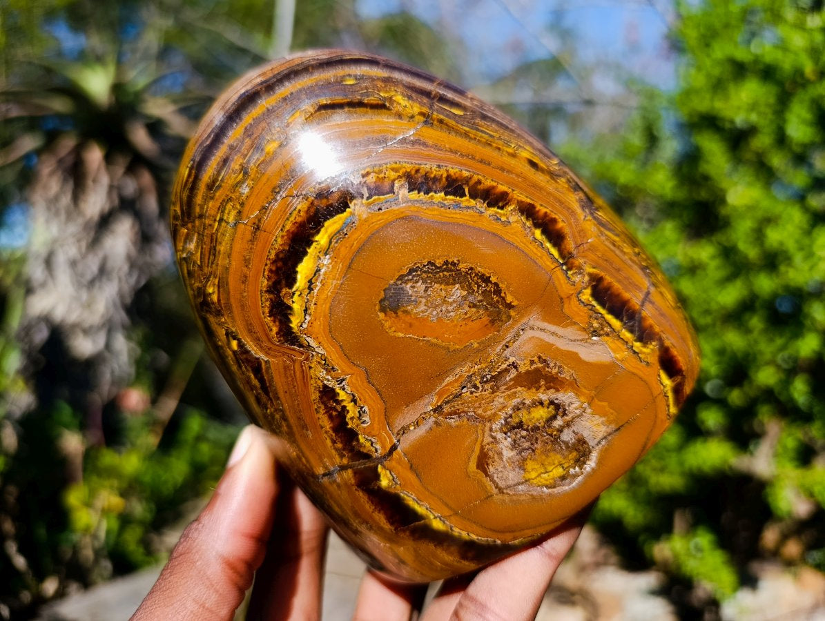 Polished Golden Tigers Eye Standing Display Pieces x 2 From Prieska, South Africa - Toprock Gemstones and Minerals 