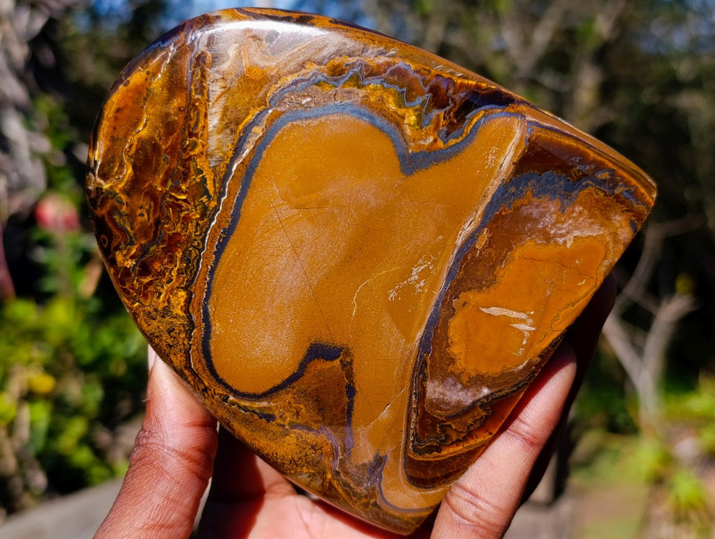 Polished Golden Tigers Eye Standing Display Pieces x 2 From Prieska, South Africa - Toprock Gemstones and Minerals 