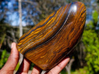 Polished Golden Tigers Eye Standing Display Pieces x 2 From Prieska, South Africa - Toprock Gemstones and Minerals 