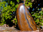 Polished Golden Tigers Eye Standing Display Pieces x 2 From Prieska, South Africa - Toprock Gemstones and Minerals 