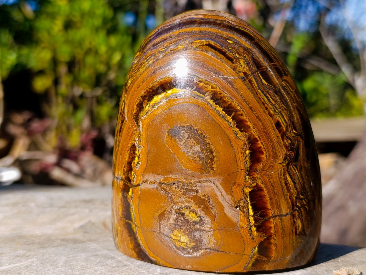 Polished Golden Tigers Eye Standing Display Pieces x 2 From Prieska, South Africa - Toprock Gemstones and Minerals 