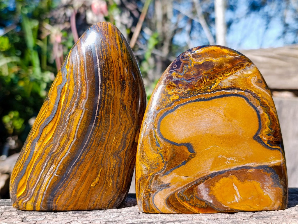 Polished Golden Tigers Eye Standing Display Pieces x 2 From Prieska, South Africa - Toprock Gemstones and Minerals 