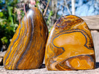 Polished Golden Tigers Eye Standing Display Pieces x 2 From Prieska, South Africa - Toprock Gemstones and Minerals 