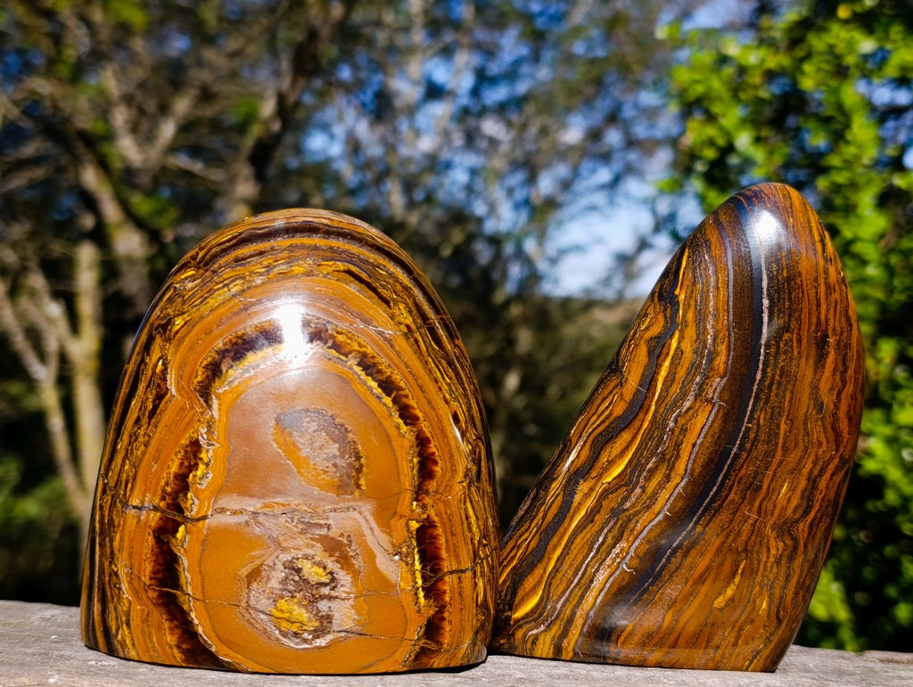 Polished Golden Tigers Eye Standing Display Pieces x 2 From Prieska, South Africa - Toprock Gemstones and Minerals 