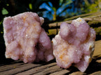 Natural Spirit Amethyst Clusters x 6 From Boekenhouthoek, South Africa - Toprock Gemstones and Minerals 