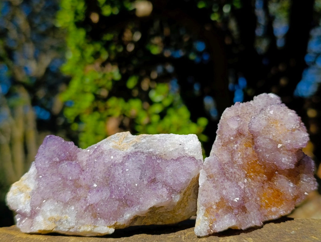 Natural Spirit Amethyst Clusters x 6 From Boekenhouthoek, South Africa - Toprock Gemstones and Minerals 