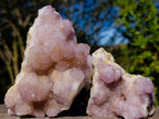 Natural Spirit Amethyst Clusters x 6 From Boekenhouthoek, South Africa - Toprock Gemstones and Minerals 