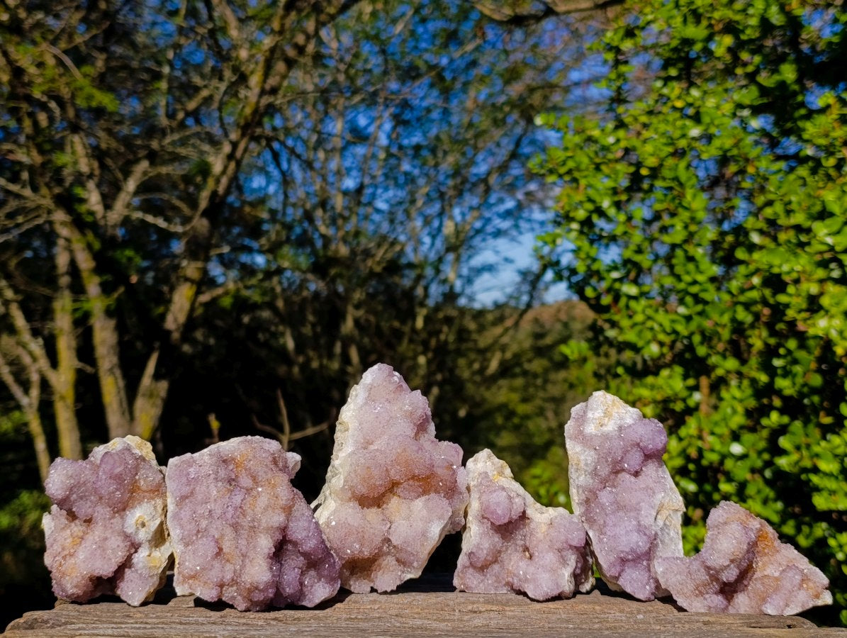 Natural Spirit Amethyst Clusters x 6 From Boekenhouthoek, South Africa - Toprock Gemstones and Minerals 
