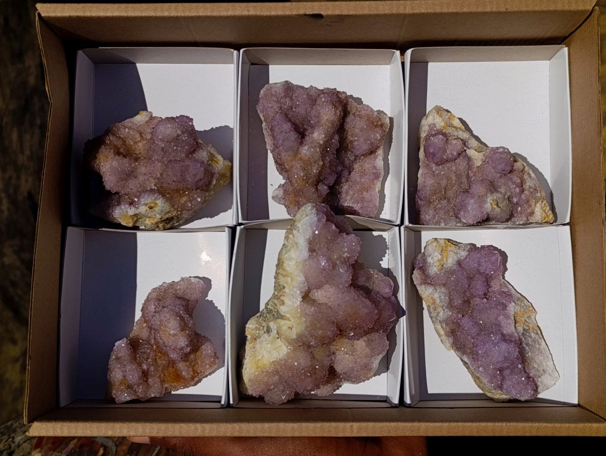 Natural Spirit Amethyst Clusters x 6 From Boekenhouthoek, South Africa - Toprock Gemstones and Minerals 