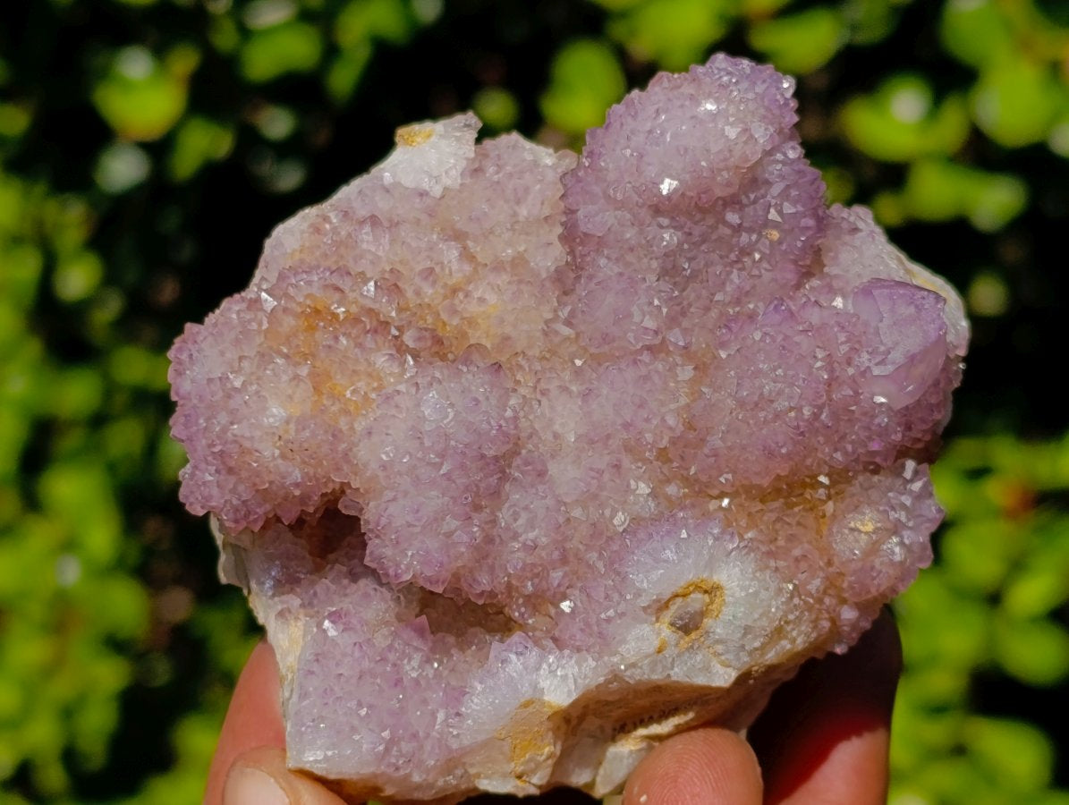 Natural Spirit Amethyst Clusters x 6 From Boekenhouthoek, South Africa - Toprock Gemstones and Minerals 