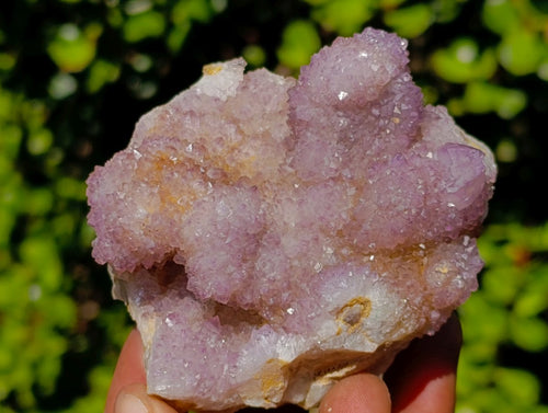 Natural Spirit Amethyst Clusters x 6 From Boekenhouthoek, South Africa - Toprock Gemstones and Minerals 