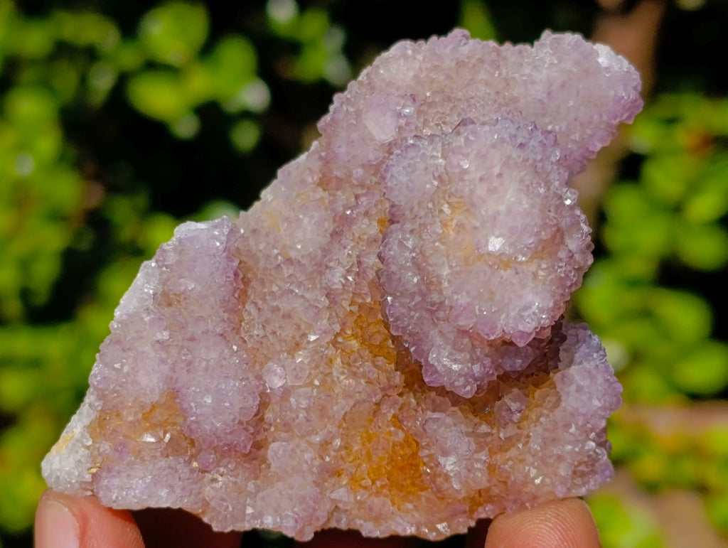 Natural Spirit Amethyst Clusters x 6 From Boekenhouthoek, South Africa - Toprock Gemstones and Minerals 