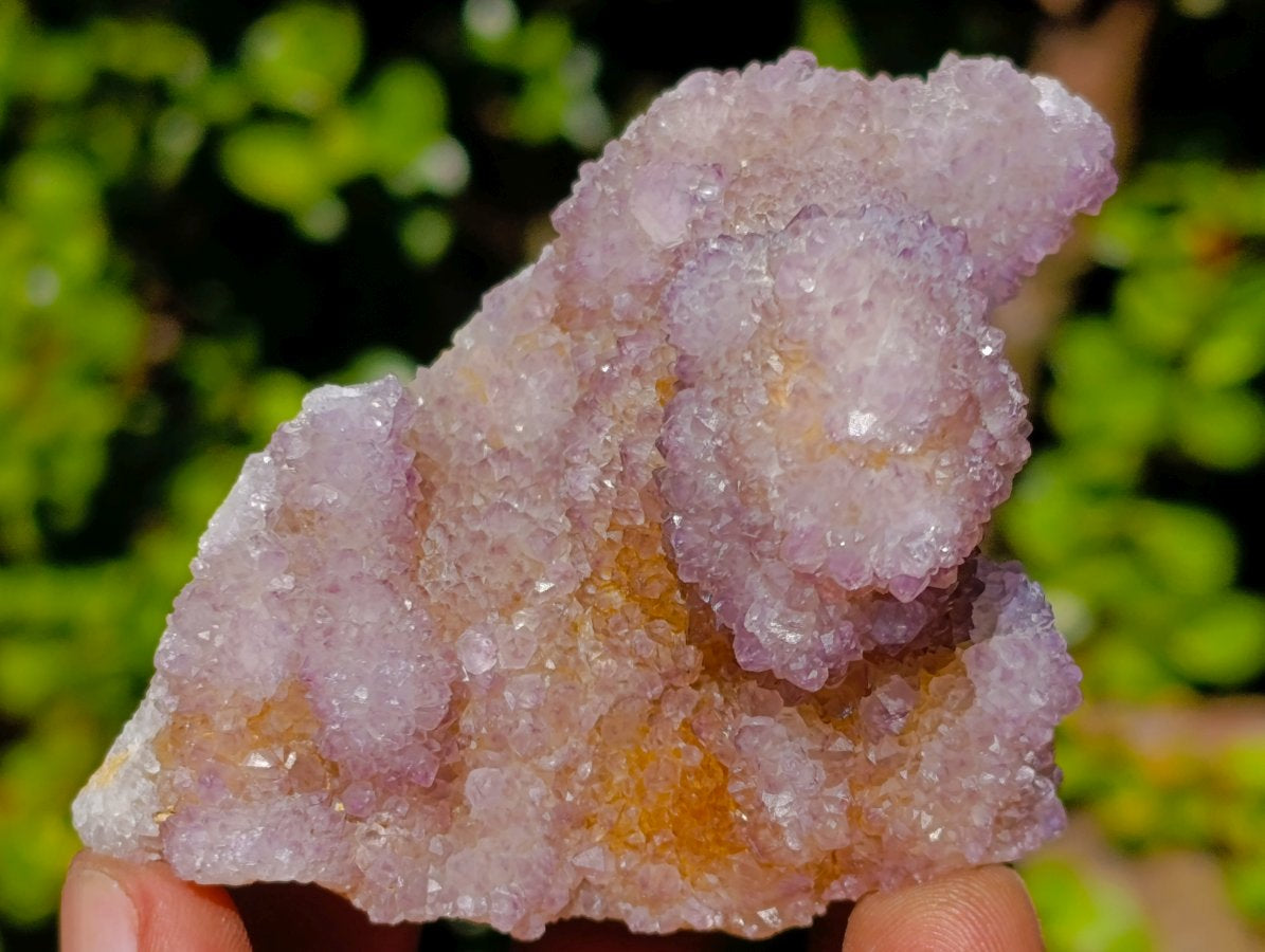 Natural Spirit Amethyst Clusters x 6 From Boekenhouthoek, South Africa - Toprock Gemstones and Minerals 