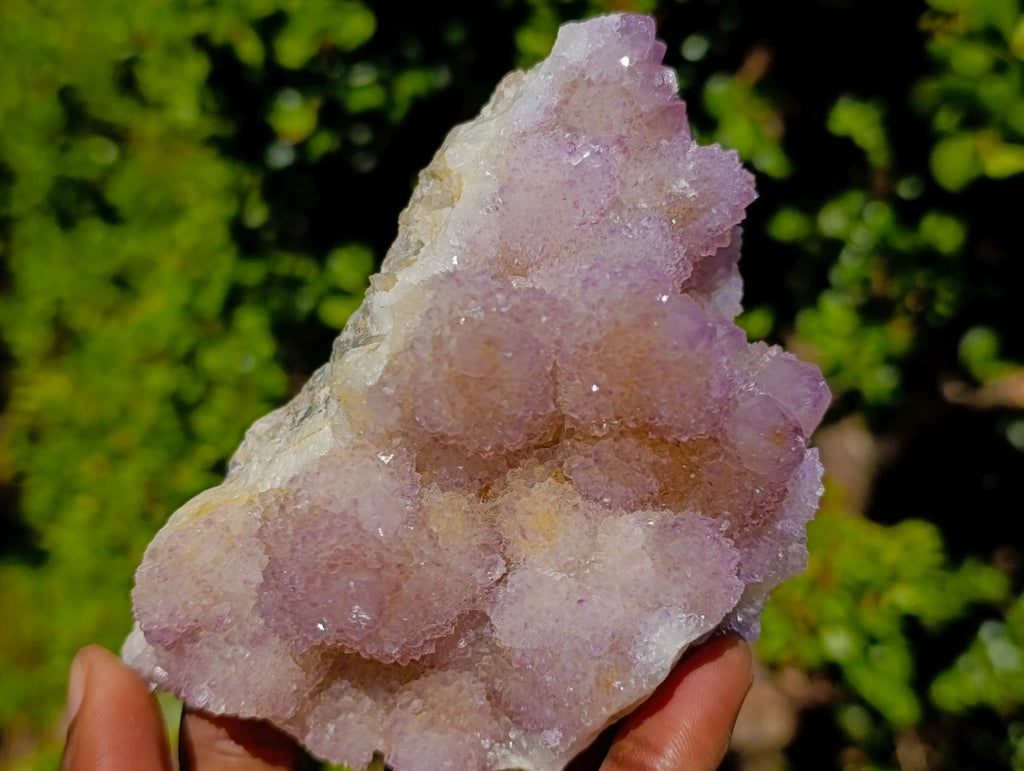 Natural Spirit Amethyst Clusters x 6 From Boekenhouthoek, South Africa - Toprock Gemstones and Minerals 