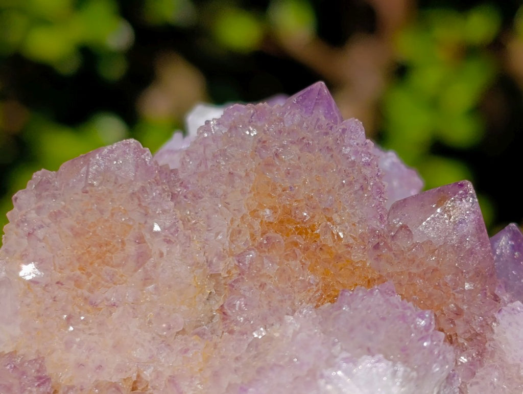 Natural Spirit Amethyst Clusters x 6 From Boekenhouthoek, South Africa - Toprock Gemstones and Minerals 