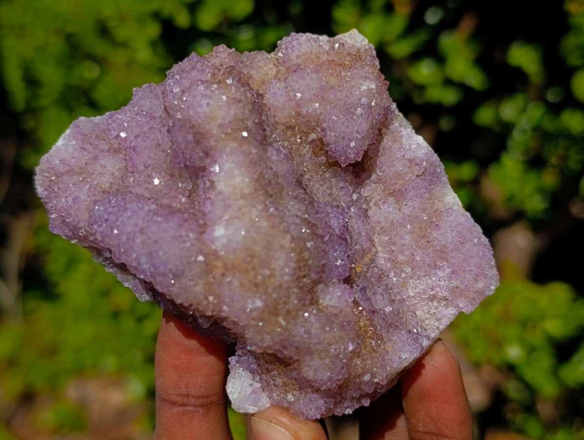 Natural Spirit Amethyst Clusters x 6 From Boekenhouthoek, South Africa - Toprock Gemstones and Minerals 