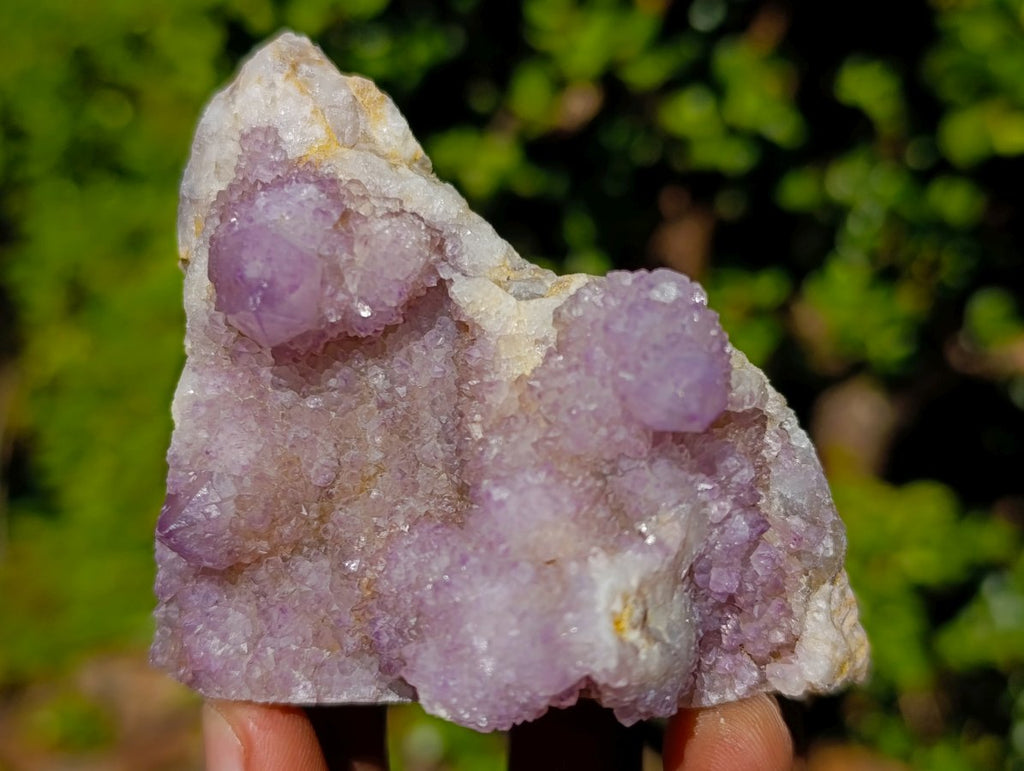 Natural Spirit Amethyst Clusters x 6 From Boekenhouthoek, South Africa - Toprock Gemstones and Minerals 