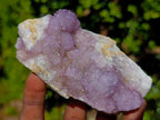 Natural Spirit Amethyst Clusters x 6 From Boekenhouthoek, South Africa - Toprock Gemstones and Minerals 