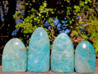 Polished Amazonite Standing Display Pieces x 4 From Madagascar - Toprock Gemstones and Minerals 