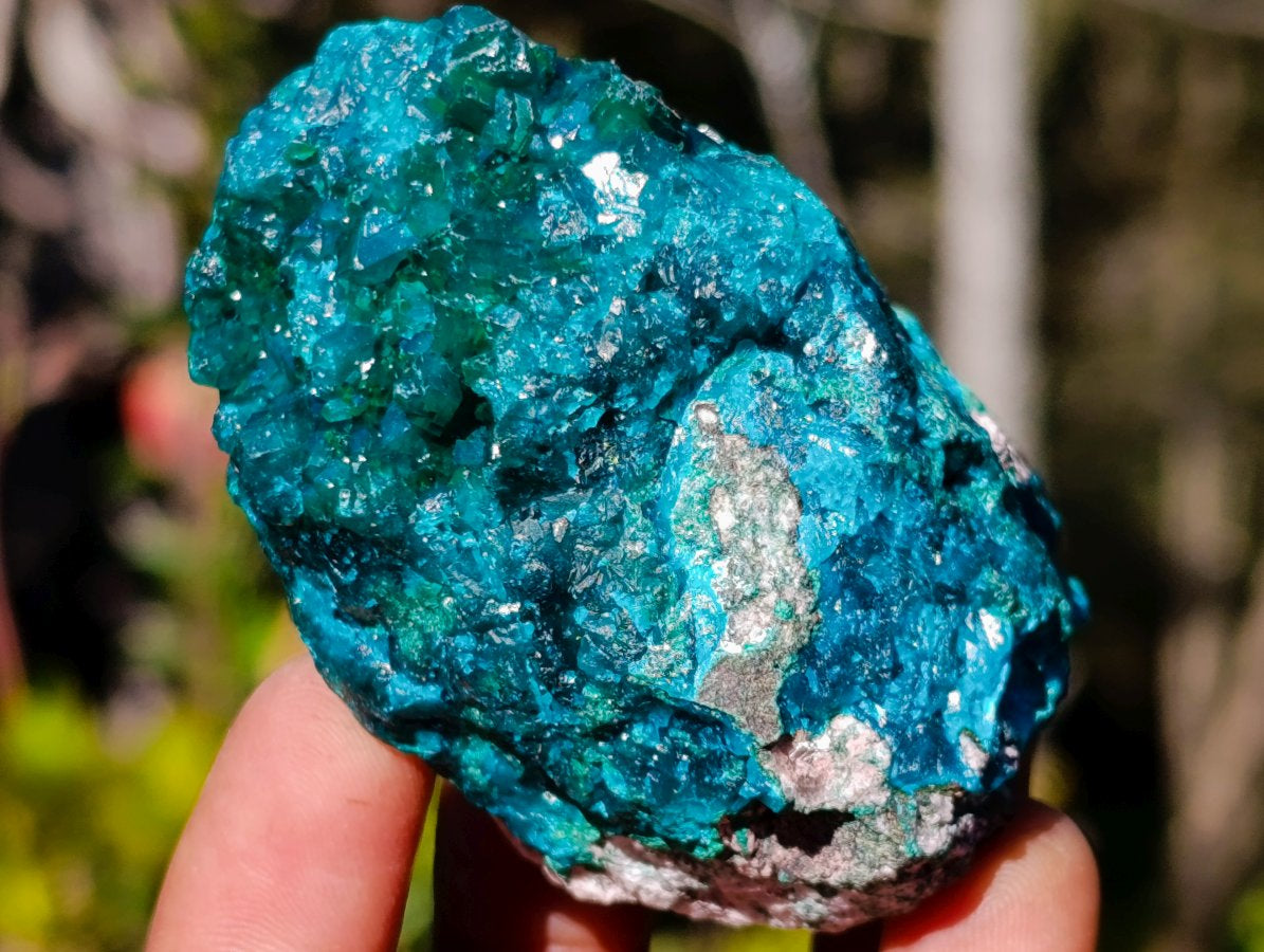 Natural Cabinet Sized Dioptase Specimens on Dolomite Matrix x 6 From Likasi, Congo - Toprock Gemstones and Minerals 