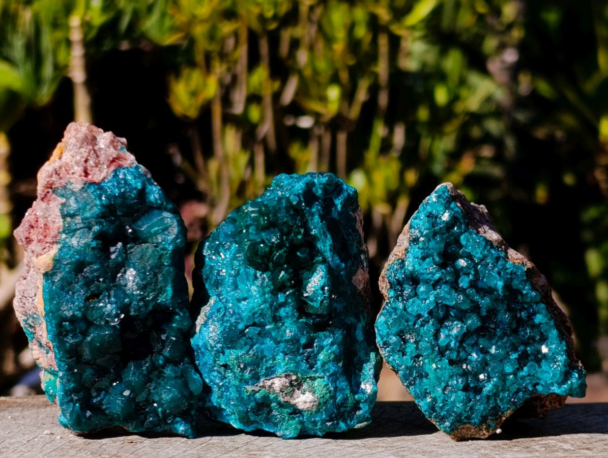 Natural Cabinet Sized Dioptase Specimens on Dolomite Matrix x 6 From Likasi, Congo - Toprock Gemstones and Minerals 