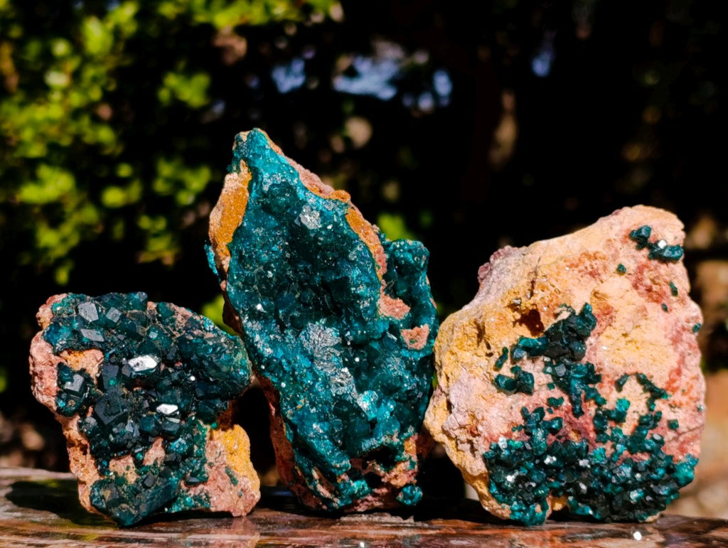 Natural Cabinet Sized Dioptase Specimens on Dolomite Matrix x 6 From Likasi, Congo - Toprock Gemstones and Minerals 