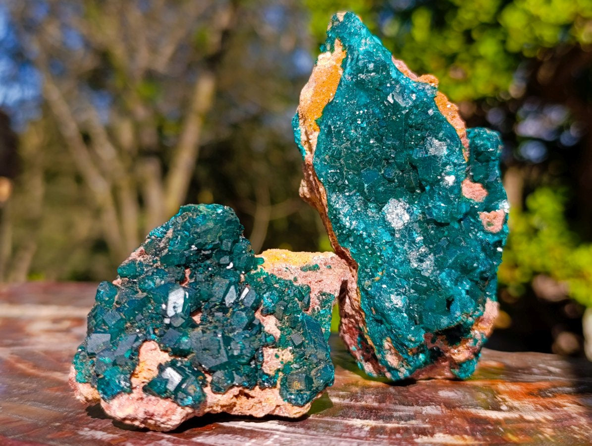Natural Cabinet Sized Dioptase Specimens on Dolomite Matrix x 6 From Likasi, Congo - Toprock Gemstones and Minerals 
