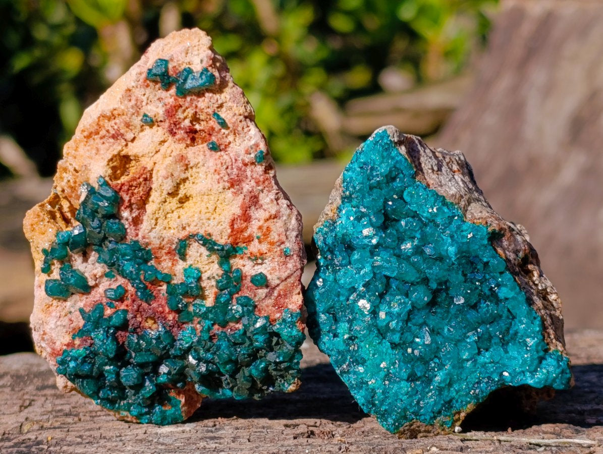 Natural Cabinet Sized Dioptase Specimens on Dolomite Matrix x 6 From Likasi, Congo - Toprock Gemstones and Minerals 