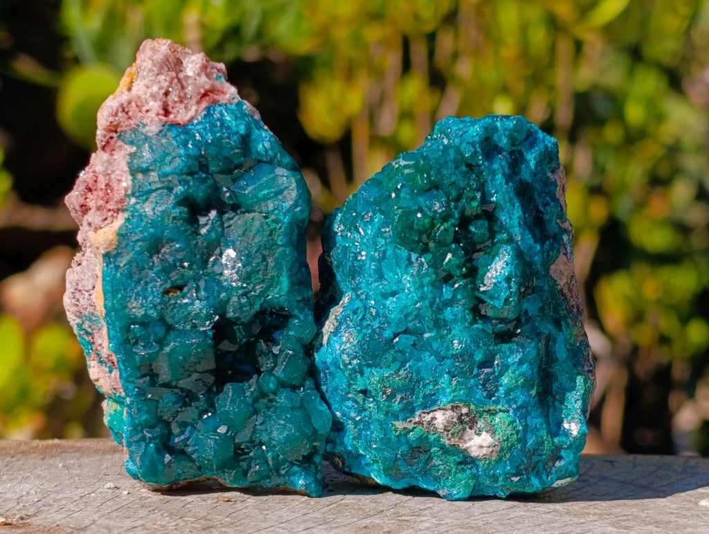 Natural Cabinet Sized Dioptase Specimens on Dolomite Matrix x 6 From Likasi, Congo - Toprock Gemstones and Minerals 