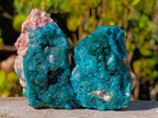 Natural Cabinet Sized Dioptase Specimens on Dolomite Matrix x 6 From Likasi, Congo - Toprock Gemstones and Minerals 