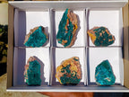 Natural Cabinet Sized Dioptase Specimens on Dolomite Matrix x 6 From Likasi, Congo - Toprock Gemstones and Minerals 