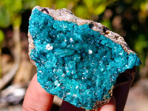 Natural Cabinet Sized Dioptase Specimens on Dolomite Matrix x 6 From Likasi, Congo - Toprock Gemstones and Minerals 