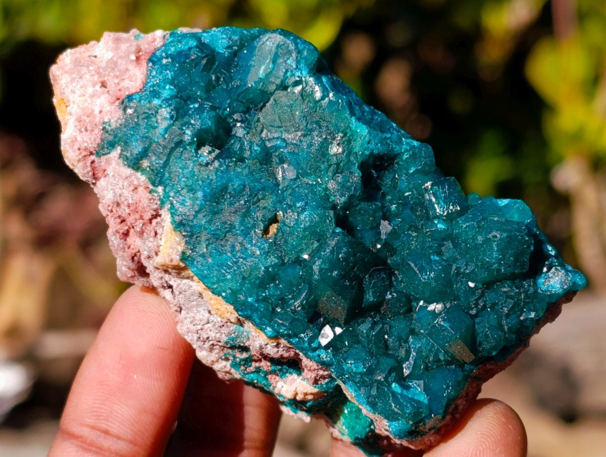 Natural Cabinet Sized Dioptase Specimens on Dolomite Matrix x 6 From Likasi, Congo - Toprock Gemstones and Minerals 
