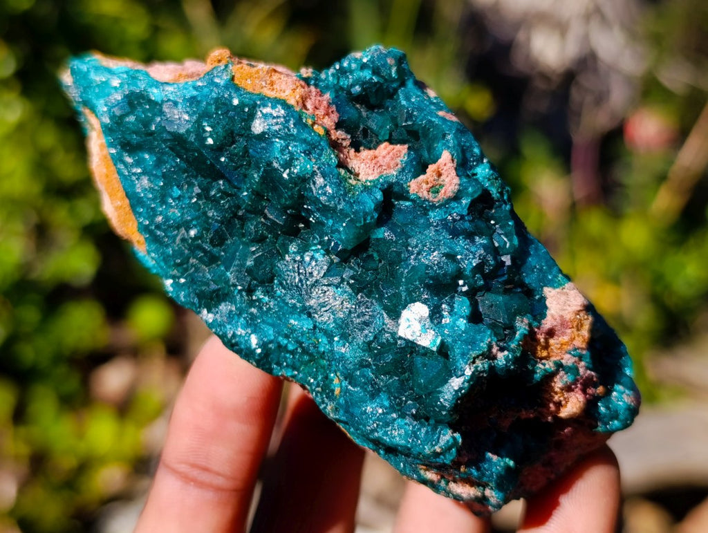 Natural Cabinet Sized Dioptase Specimens on Dolomite Matrix x 6 From Likasi, Congo - Toprock Gemstones and Minerals 