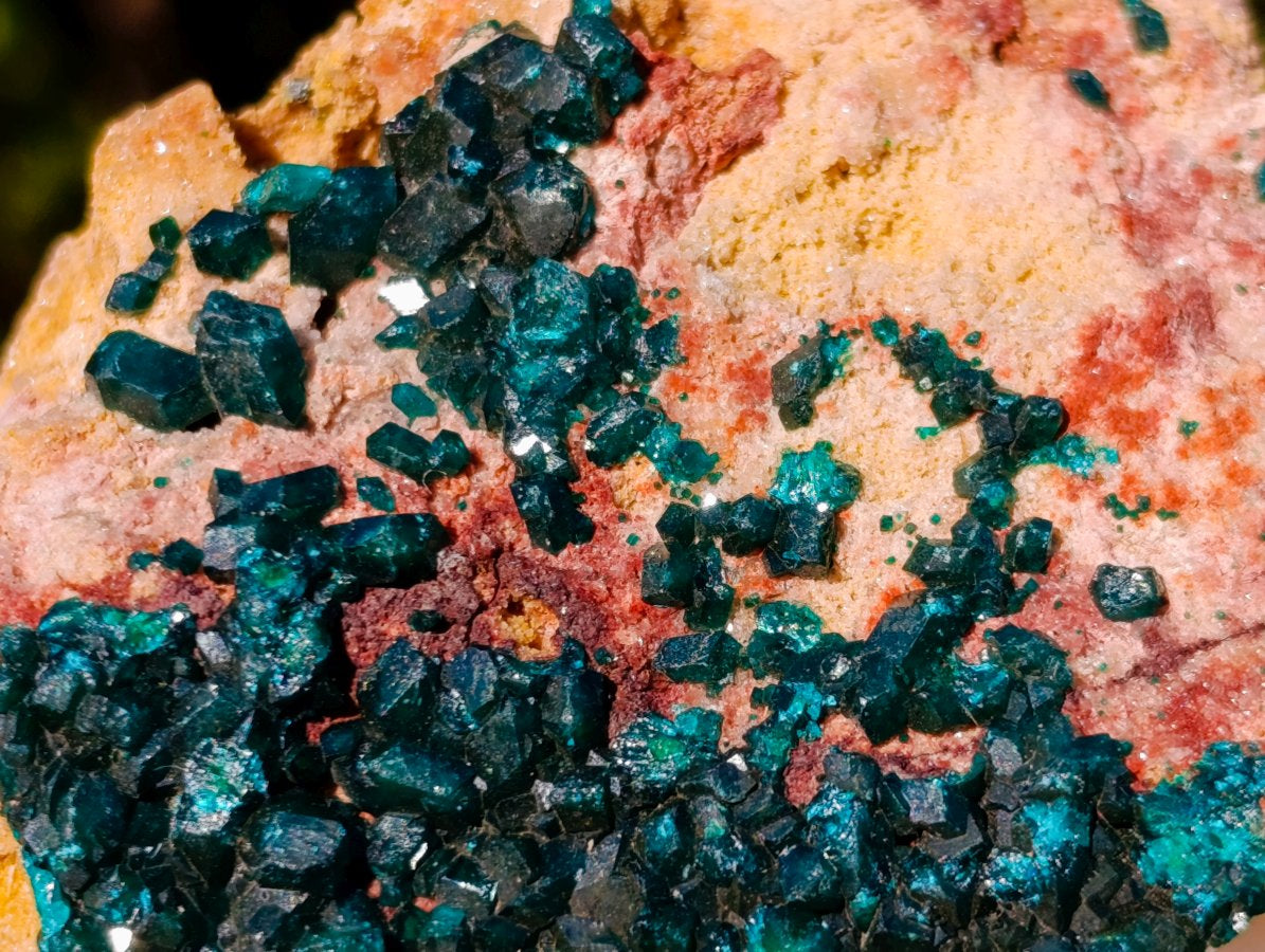 Natural Cabinet Sized Dioptase Specimens on Dolomite Matrix x 6 From Likasi, Congo - Toprock Gemstones and Minerals 