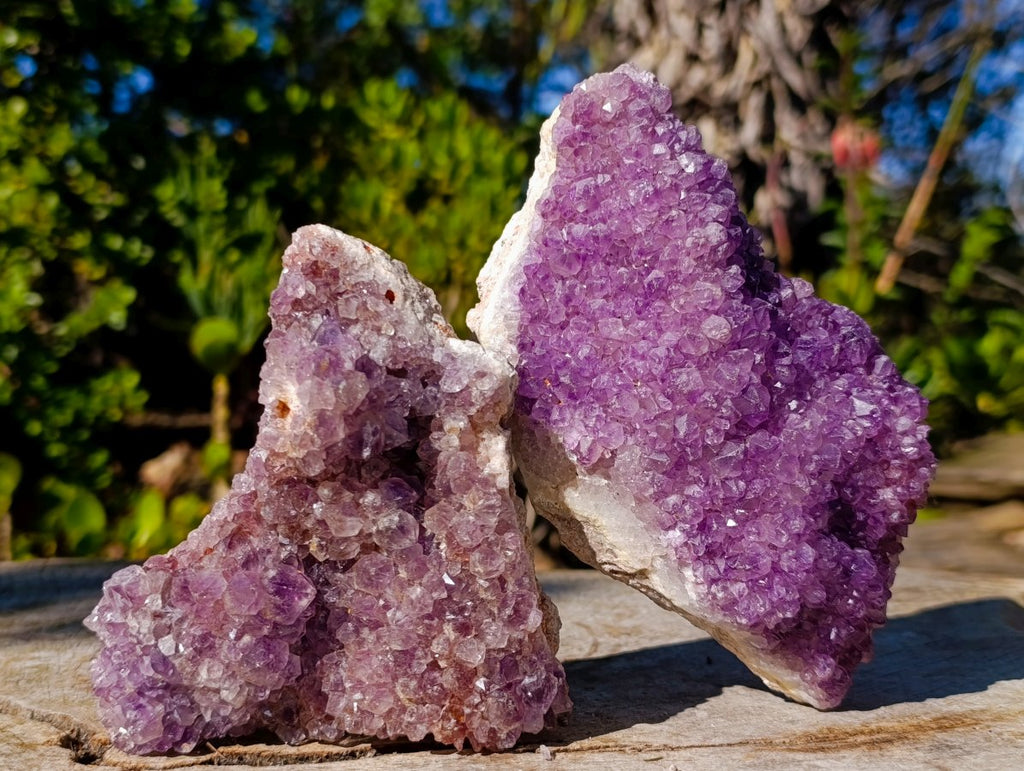 Natural Amethyst Clusters x 35 From Madagascar - Toprock Gemstones and Minerals 