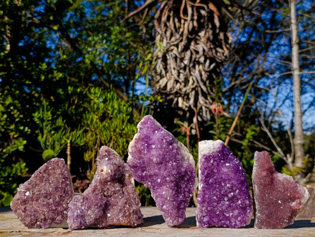 Natural Amethyst Clusters x 35 From Madagascar - Toprock Gemstones and Minerals 