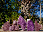 Natural Amethyst Clusters x 35 From Madagascar - Toprock Gemstones and Minerals 
