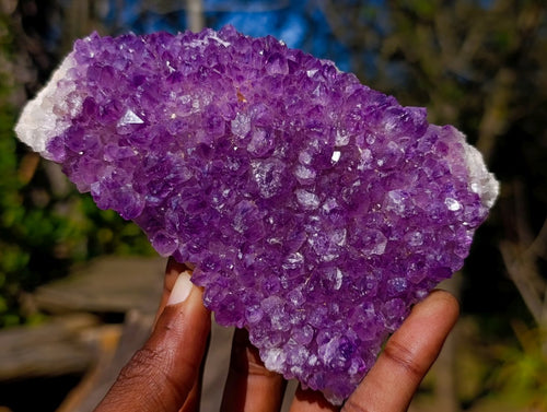 Natural Amethyst Clusters x 35 From Madagascar - Toprock Gemstones and Minerals 