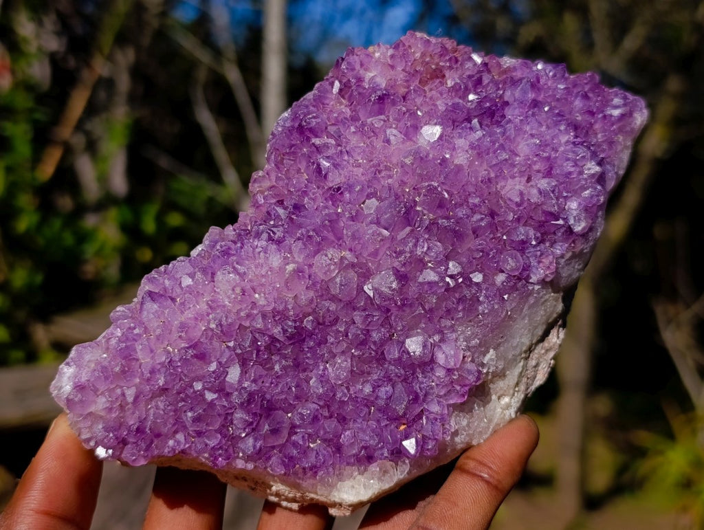 Natural Amethyst Clusters x 35 From Madagascar - Toprock Gemstones and Minerals 