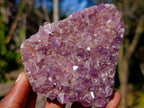 Natural Amethyst Clusters x 35 From Madagascar - Toprock Gemstones and Minerals 