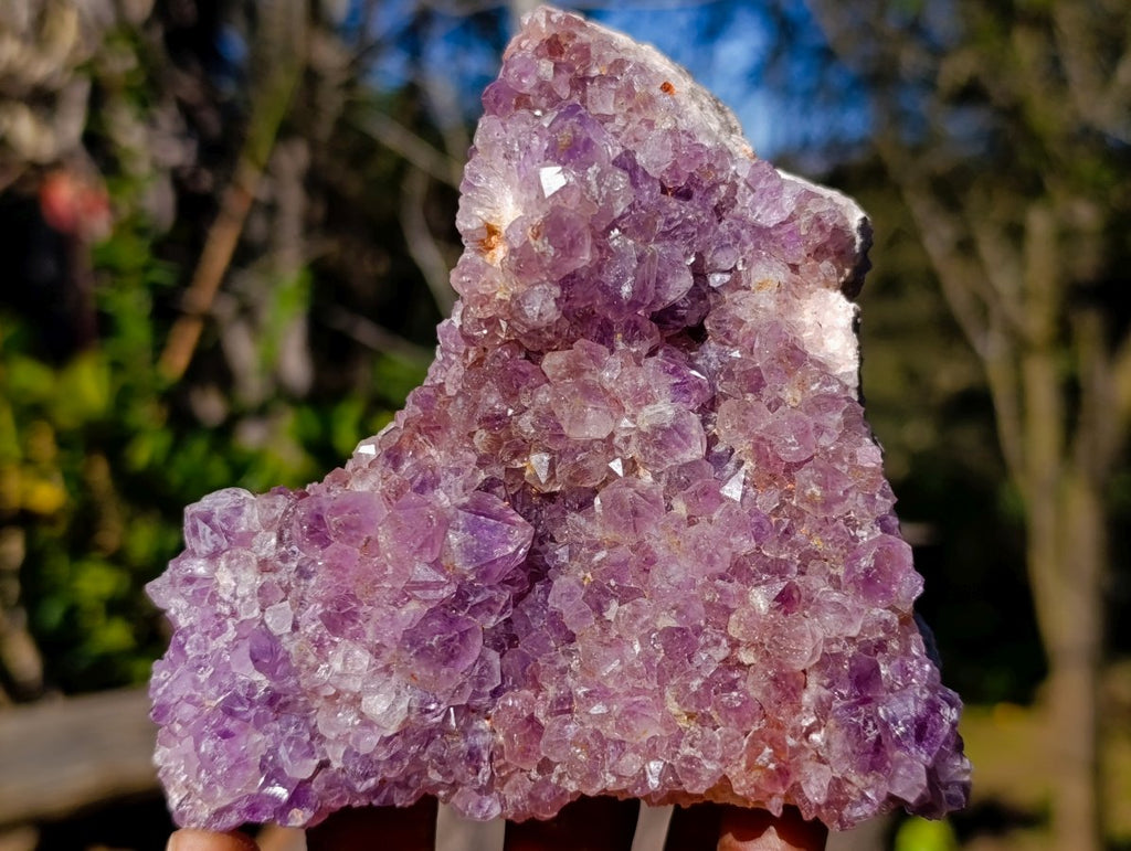 Natural Amethyst Clusters x 35 From Madagascar - Toprock Gemstones and Minerals 